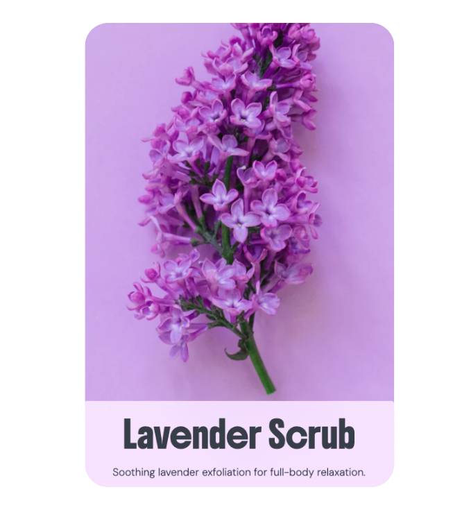 Lavender Scrub